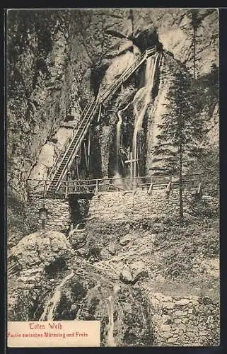 AK Mürzsteg, Der Wasserfall zum Toten Weib