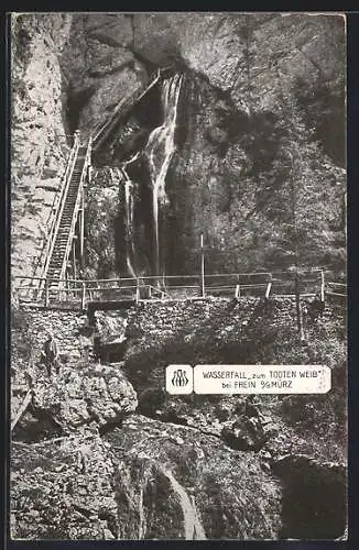 AK Frein a. d. Mürz, Wasserfall zum Todten Weib