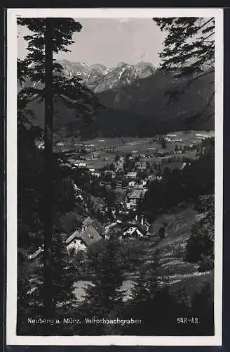 AK Neuberg a. Mürz, Ortsansicht mit Veitschbachgraben