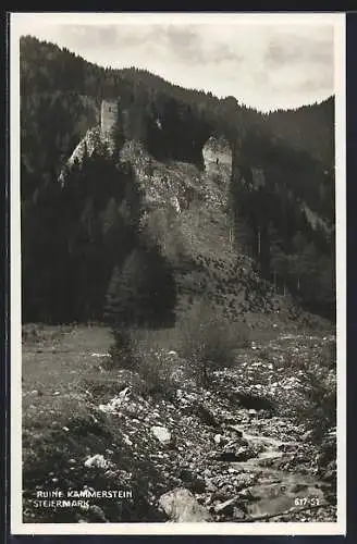 AK Kammern /Steiermark, Blick auf die Burgruine Kammerstein