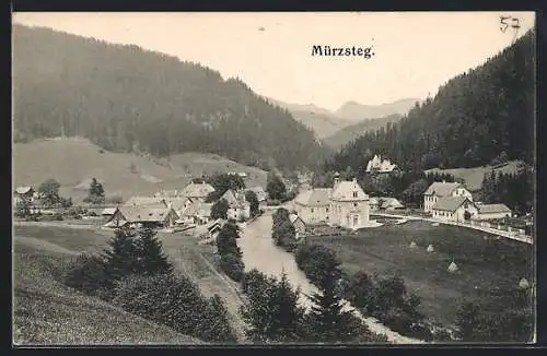 AK Mürzsteg, Ortsansicht mit Brücke und Jagdschloss