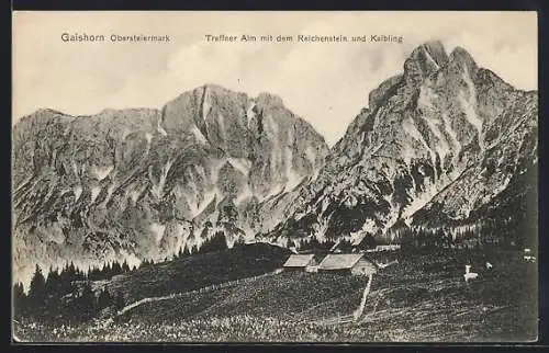 AK Gaishorn /Obersteiermark, Treffner Alm mit dem Reichenstein und Kaibling