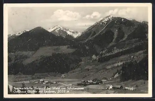 AK Wald am Schoberpass, Blick nach Vorwald