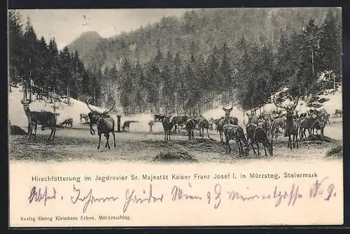 AK Mürzsteg, Hirschfütterung im Jagdrevier Sr. Majestät Kaiser Franz Josef I
