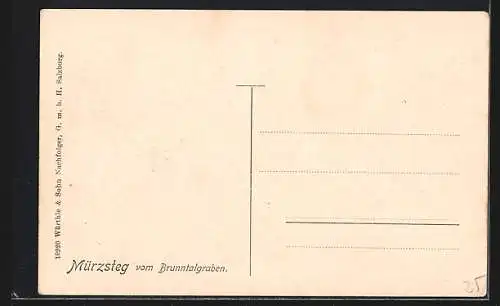 AK Mürzsteg, Ansicht vom Brunntalgraben aus gesehen