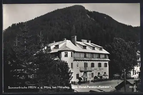 AK Frein a. d. Mürz, Hotel-Pension Aumann mit Gästen