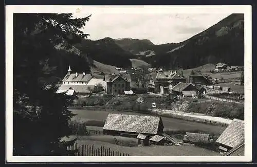 AK Frein b. Mürzsteg, Ortsansicht aus der Vogelschau