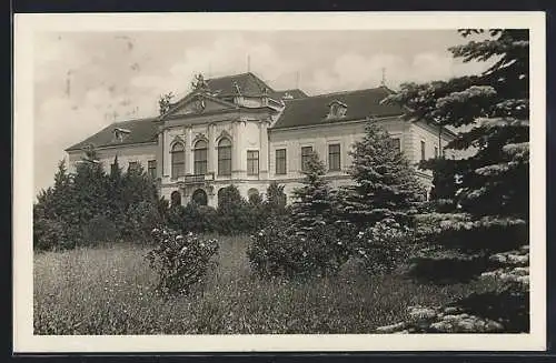 AK Eckartsau, Schloss mit Garten