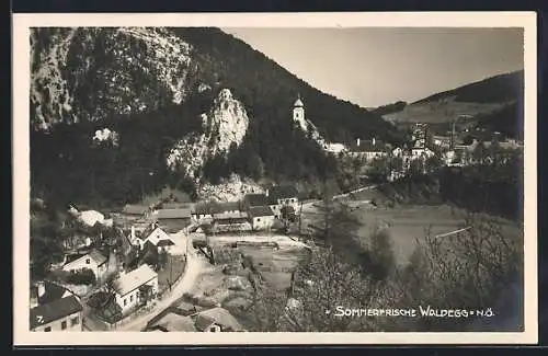 AK Waldegg /N. Ö., Ortsansicht aus der Vogelschau