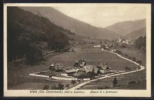 AK Wald /Ob. Steiermark, Meierei R. v. Guttmann, Ortsansicht