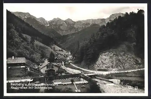 AK Neuberg an der Mürz, Karlgraben mit Schneealpe