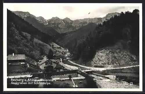 AK Neuberg an der Mürz, Karlgraben mit Schneealpe