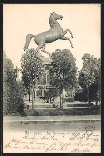 AK Hannover, Sachsenross, Seitenansicht