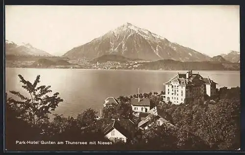 AK Gunten am Thunersee, Park-Hotel, Ortsansicht mit Niesen