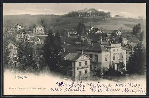 AK Zofingen, Ortsansicht aus der Vogelschau