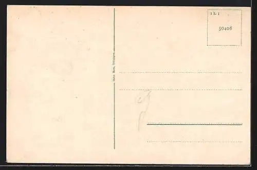 AK Konstanz a. B., Hus-Haus, Hus-Stein und Hus-Allee