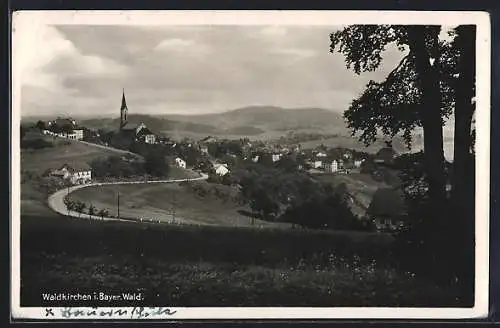 AK Waldkirchen / Bayrischer Wald, Ortsansicht mit Kirche