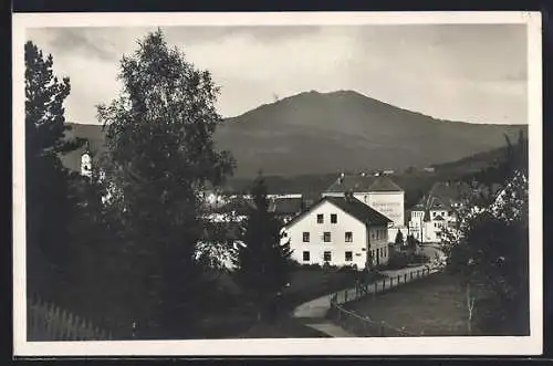 AK Bayer. Eisenstein, Teilansicht mit Arber