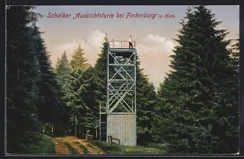AK Festenburg im Harz, Schalker Aussichtsturm im Wald