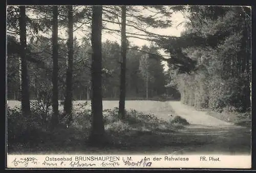 AK Brunshaupten, Waldstrasse an der Rehwiese