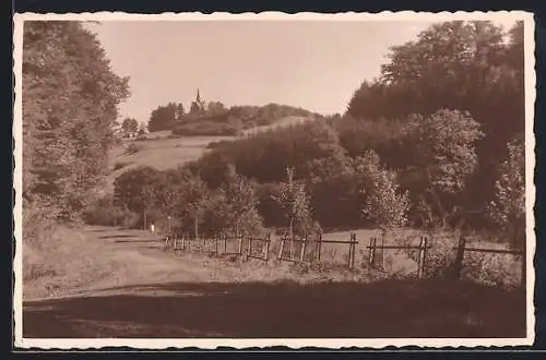 AK Arnsberg i. W., Landstrasse am Waldrand