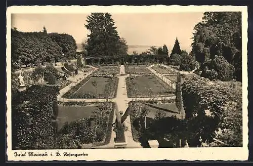 AK Mainau i. B., Blick auf den Rosengarten