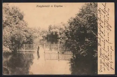 AK Treptow, Blick auf den Karpfenteich