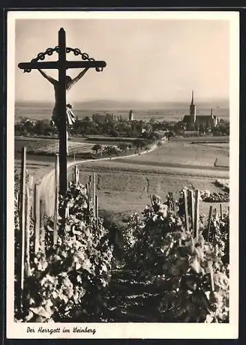 AK Iphofen, Der Herrgott im Weinberg