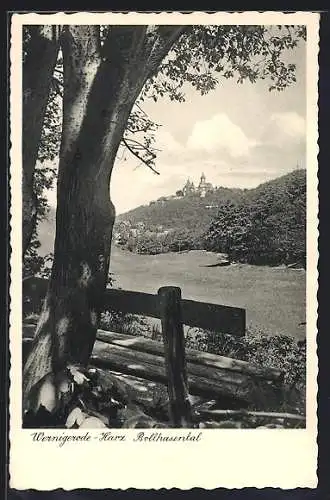 AK Wernigerode /Harz, Bollhasental mit Bergblick