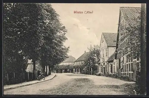 AK Westen / Aller, Strassenpartie mit Wohnhäusern