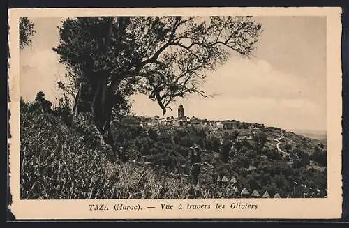 AK Taza, Vue à travers les Oliviers