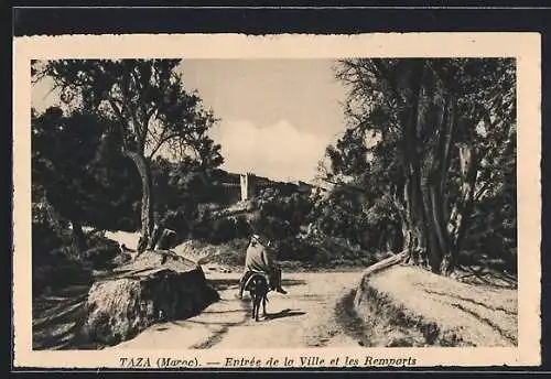 AK Taza, Entrée de la Ville et les Remparts