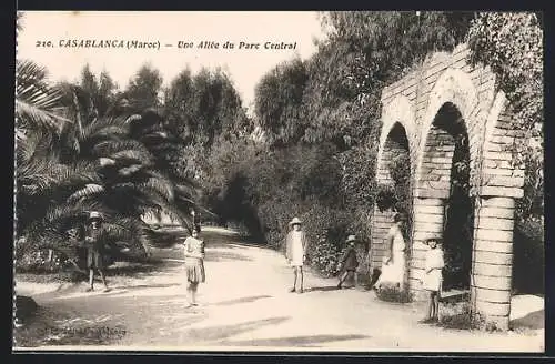 AK Casablanca, Une Allée du Parc Central