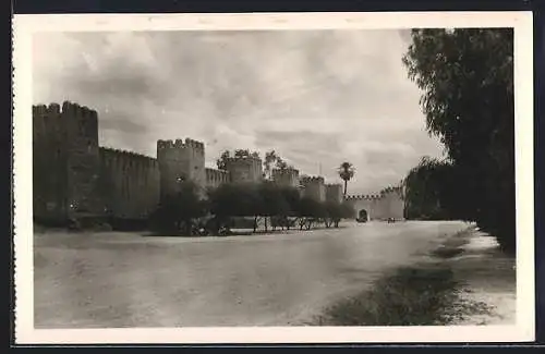 AK Taroudant, L`Enceinte de la Ville