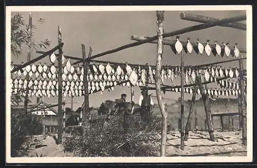 AK Königsberg, Ostpreussische Flundern die vor dem Räuchern an der Luft getrocknet werden