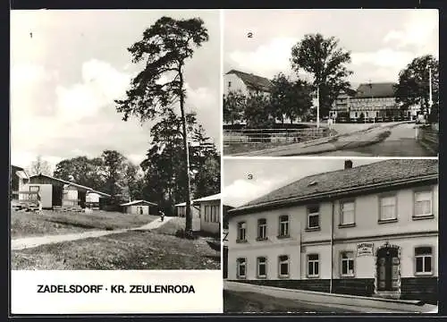 AK Zadelsdorf, Gasthaus zum Steinbock, Teilansicht