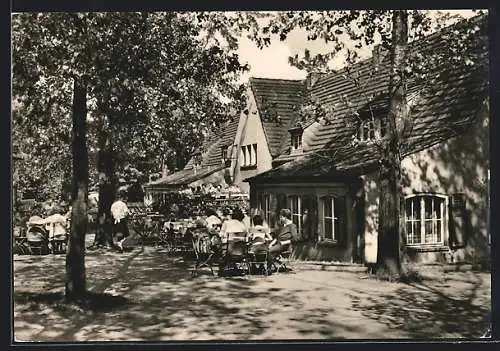 AK Rotta /Gräfenhainichen, Ferienheim-Gaststätte Ochsenkopf