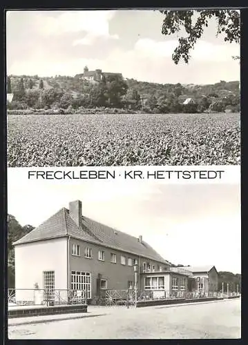 AK Freckleben /Krs. Hettstedt, Strassenpartie und Burg