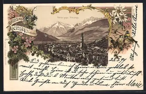 Lithographie Meran, Ortsansicht gegen Vintschgau