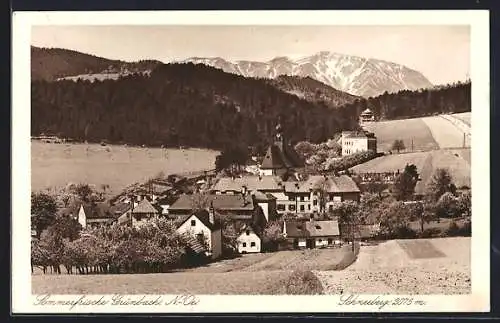 AK Grünbach /N.-Oe., Ortsansicht mit Schneeberg