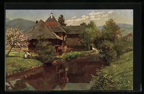 AK Schönau / Schwarzwald, altes Haus an der Wiese