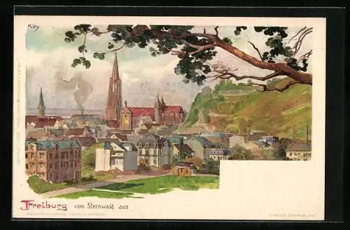 Lithographie Freiburg / Breisgau, Blick vom Sternwald auf den Ort