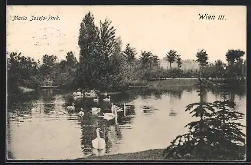 AK Wien, Schwäne im Maria Josefa-Park