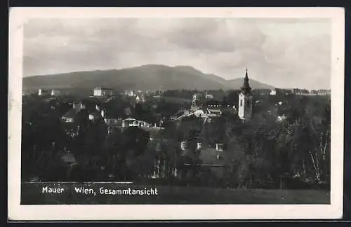 AK Wien, Mauer, Blick über die Dächer