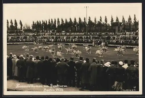 AK Berlin-Charlottenburg, Sommerblumen am Funkturm 1934