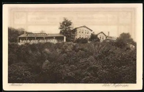 Notgeld Thale am Harz 1921, 50 Pfennig, Hotel Rosstrappe und Wappen, Gebirgskurort