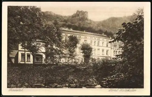 Notgeld Thale am Harz, 1921, 50 Pfennig, Gebirgskurort Motiv mit Hotel Waldkater und Landschaft