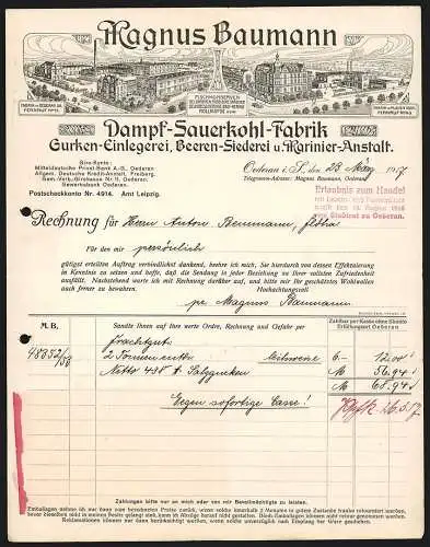 Rechnung Oederan i. S. 1917, Magnus Baumann, Dampf-Sauerkohl-Fabrik, Werke in Oederan und Plauen