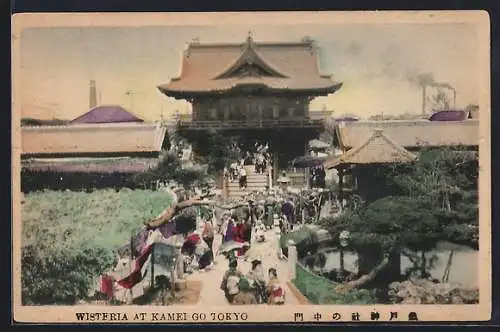 AK Tokyo, Wisteria at Kamei Go