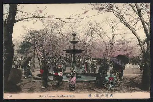 AK Yokohama, Cherry Blossom Yokohama Park